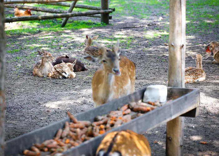 Zameczek Mysliwski Darz Bor